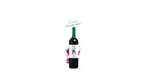 ECOTERRA MALBEC-MERLOT
